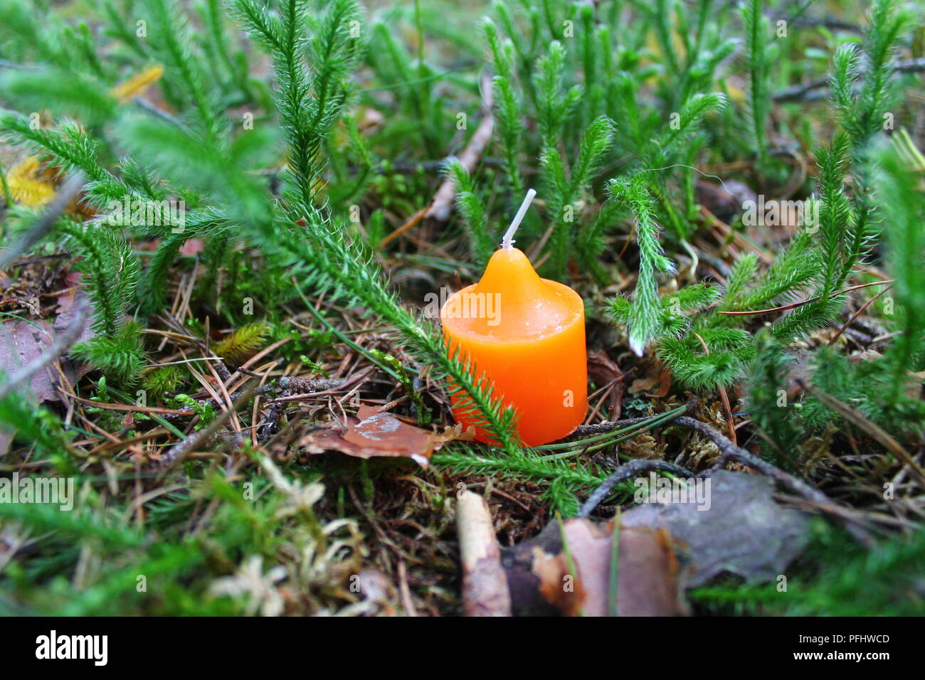 Helle farbe Duft Kerze moss eingerichtet schön schmücken im Urlaub oder einen romantischen Abend oder einfach nur zur Entspannung und Meditation. Stockfoto