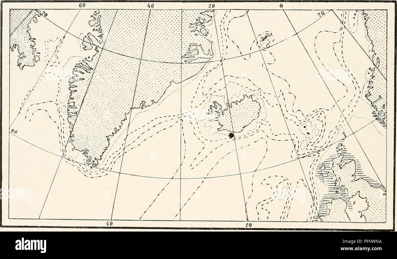 . Die dänische Ingolf-Expedition. Wissenschaftliche Expeditionen; Arktischen Ozean. 56 HYDROIDA II Forma microtheca: Länge des hydrotheca '/4-I/s der Länge des internodintn; Die internodia der Schlank. Material (forma typica): "Thor" 35° 57' N, 5° 35' VV, Tiefe 740 Meter Island: Vestmano, Tiefe 50 Klafter. Plumularia setacea teilt in der gleichen Weise wie die vorstehenden Ausführungen in einer weit verbreiteten warmes Wasser Vielfalt, Forma microtheca und ein gemäßigt-forma-typica, sowohl im subantarktischen und borealen Gewässern. Plumularia setacea ist in den nördlichen Gewässern eine denizen der mittleren und oberen Par Stockfoto