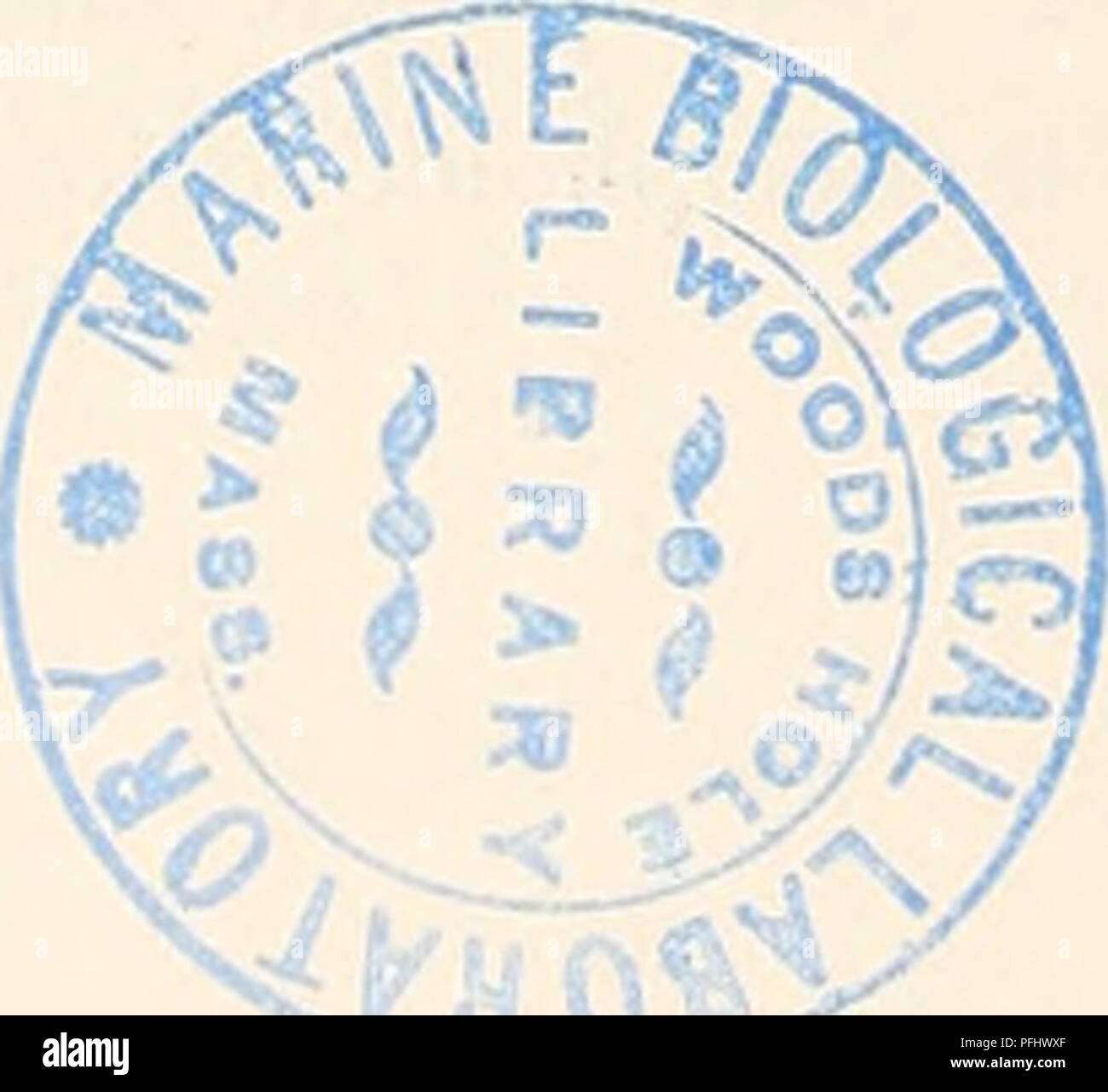 . Die dänische Ingolf-Expedition. Wissenschaftliche Expeditionen; Arktischen Ozean. 36 HYDROIDA II schleichende stolons. Dies bestätigt somit, wie Kramp weist darauf hin, dass die Zweifel, die durch bestimmte frühere Autoren wie auf die grundlegende Bedeutung der Struktur der Kolonie für hydroid s stematics geäußert wurden, und teilweise tilgt, die Grenze zwischen schleichender Arten und Arten mit aufrechten, Composite Kolonien. Die Gattung Halecium durch die lebendige Erneuerung seiner hydranths gekennzeichnet ist. Dies sollte, so scheint es, als auch aufgrund der Mangel an speziellen defensive Personen, zum Teil auf die minimale erklärt werden Stockfoto