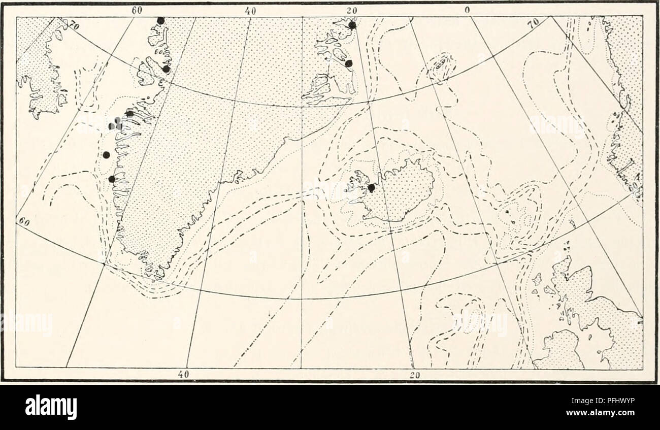 . Die dänische Ingolf-Expedition. Wissenschaftliche Expeditionen; Arktischen Ozean. HYDROIDA II 31 So die beiden zuletzt genannten Gattungen haben, soweit wir wissen, immer stolouial Kolonien, in der Erwägung, dass in Campanulina sie sind unveränderlich sympodial. Campanulina turrita Hincks. 1868 Campanulina turrita. Hincks, eine Geschichte der britischen Hydroid Zoophytes, S. 190, Pi. 36, Abb. 2. Aufrechte sympodial Kolonien mit monosiphonic hydrocaulns, während beringt. Der Schaft leicht Zickzack. Stamm und Äste sind in leicht ausgeprägt internodia unterteilt, wobei distal. Zooo m. Abb. Ix. Funde von Lafoeina Maxima in den Nördlichen an Stockfoto