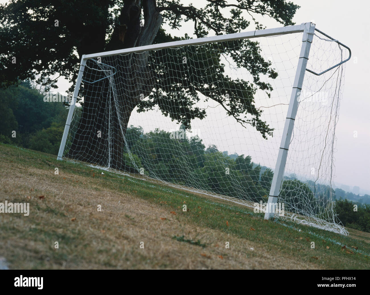 Ziel post in Fußballplatz, Low Angle View. Stockfoto