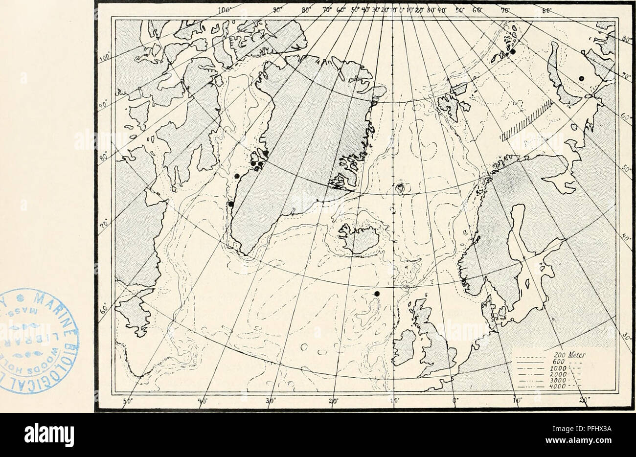 . Die dänische Ingolf-Expedition. Wissenschaftliche Expeditionen; Arktischen Ozean. 36 MEDUSAE. I. Ptychogena antarktis Browne (1907, genauer im Jahre 1910, S. 29) wird aus Ptycfiogena lactea durch die Tatsache, dass die gonadial seitliche Falten kürzer sind und nicht auf die subumbrella zugeordnet und von der Farbe, die Basis der Fangarme, entsprechend Browne, mit roten entodermal Pigment; nach Vanhoffen (1912), der die Arten, die in der Material aus dem Deutschen South-Polar Expedition wiedergefunden hat, die Organe sind dunkel Kaffee - Braun aus. Es gibt ein cordylus zwischen jeder e Stockfoto