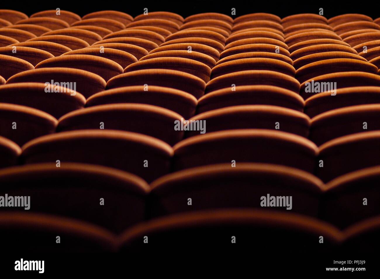 Rückseite der Stühle im Theater Stockfoto