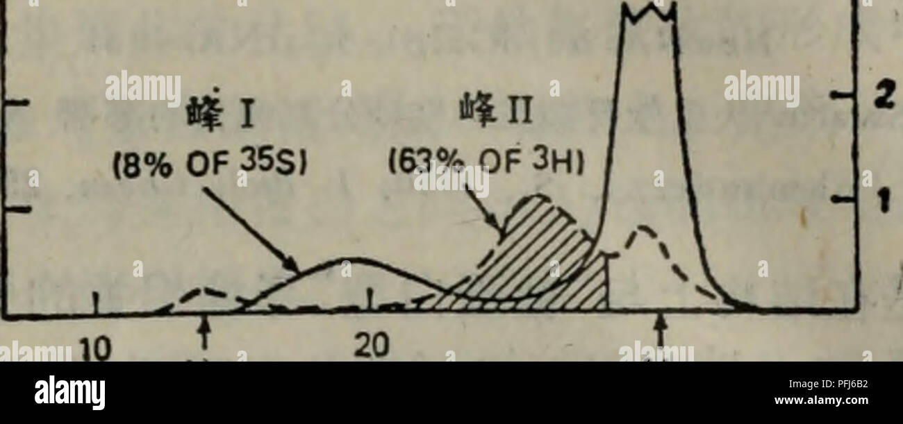 255 1 G Stockfotos Und Bilder Kaufen Alamy