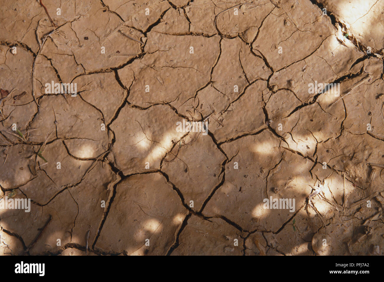 Ausgedörrte Erde, aus der Nähe. Stockfoto