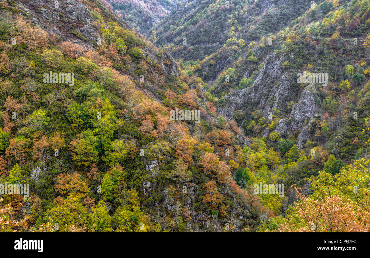 Colorido otoñal en el Cañon del río Balouta, de Ancares, Navia de Suarna Stockfoto