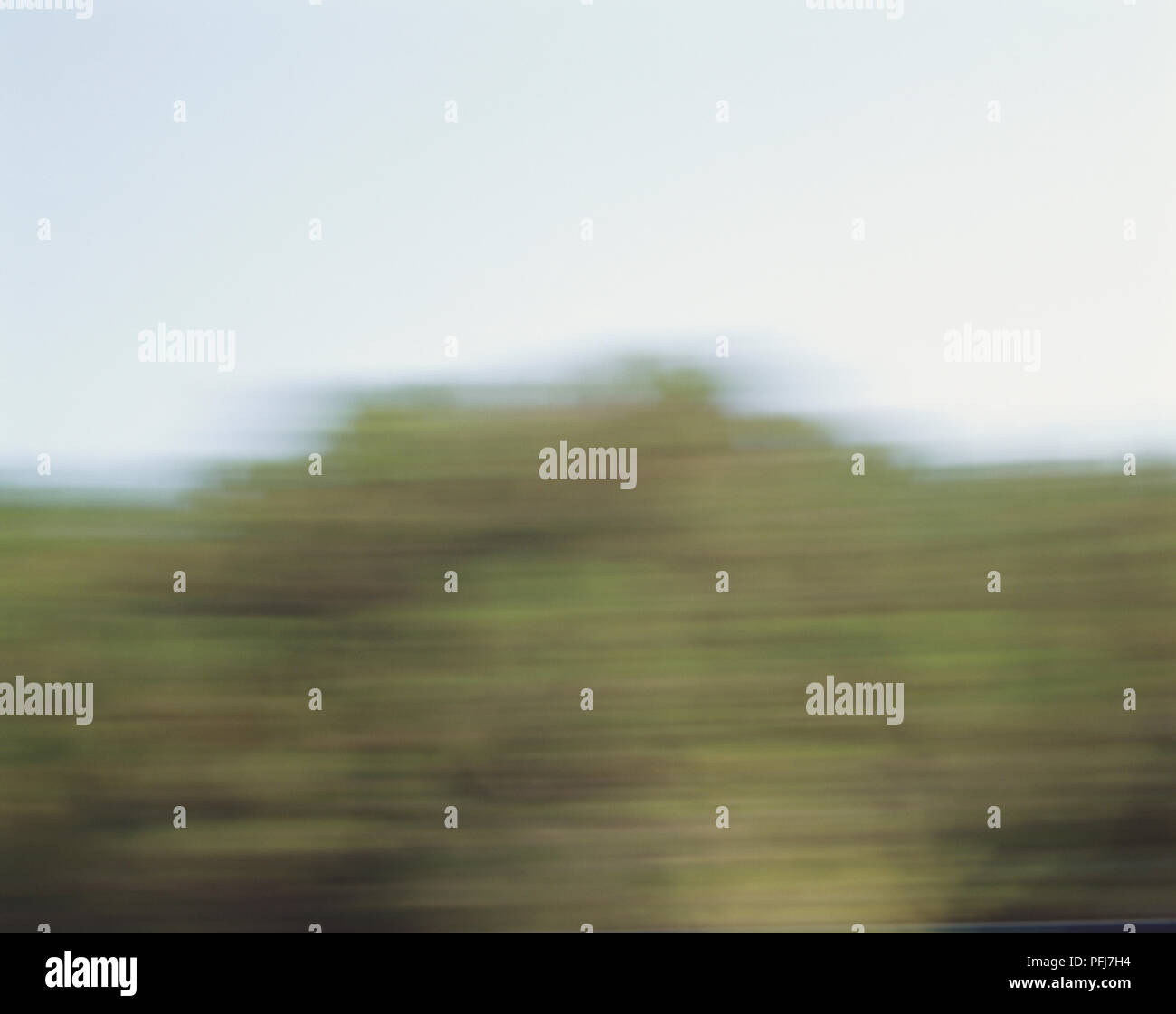 Blauer Himmel über grüne Vegetation, verschwommene Bewegung Stockfoto