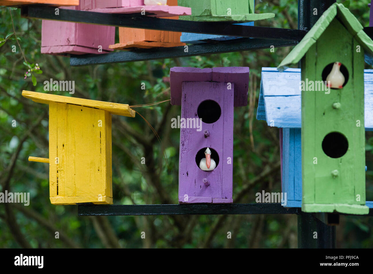 Bird House craft Stockfoto