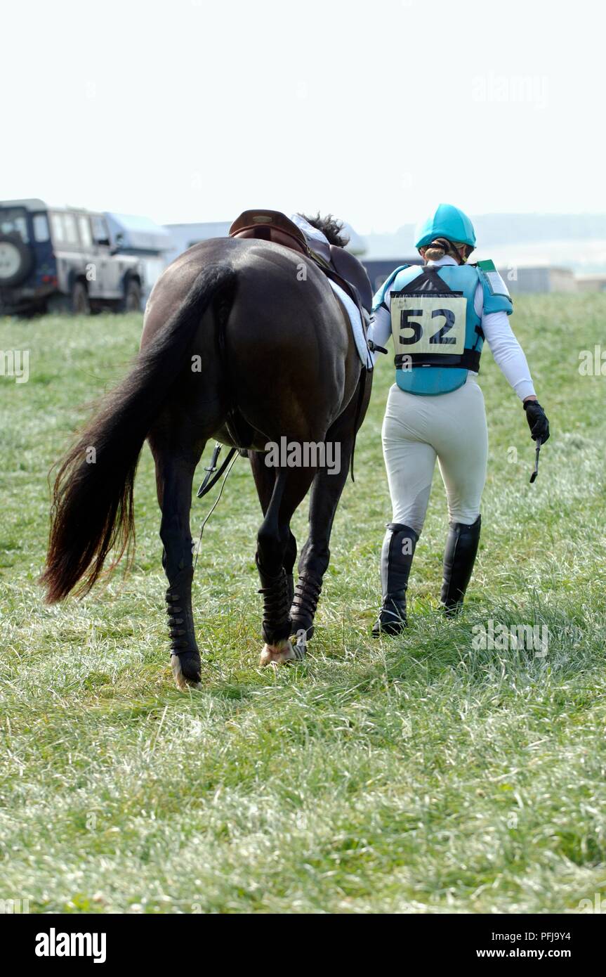 Frau reiten Outfit mit der Nummer auf der Rückseite, Pferd, Rückansicht Stockfoto