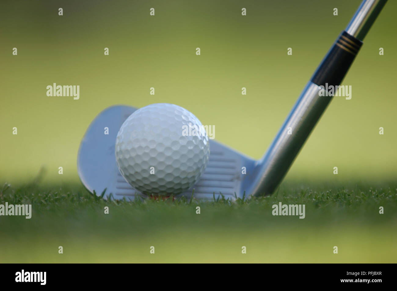 Leiter der lange Eisen Golf Club in der Nähe von Golf Ball auf Grün Stockfoto