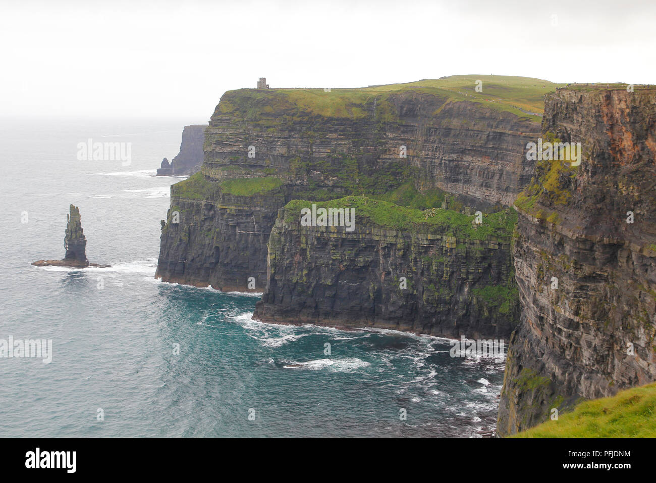 Klippen von Moher in Irland, in einem bewölkten Tag Stockfoto