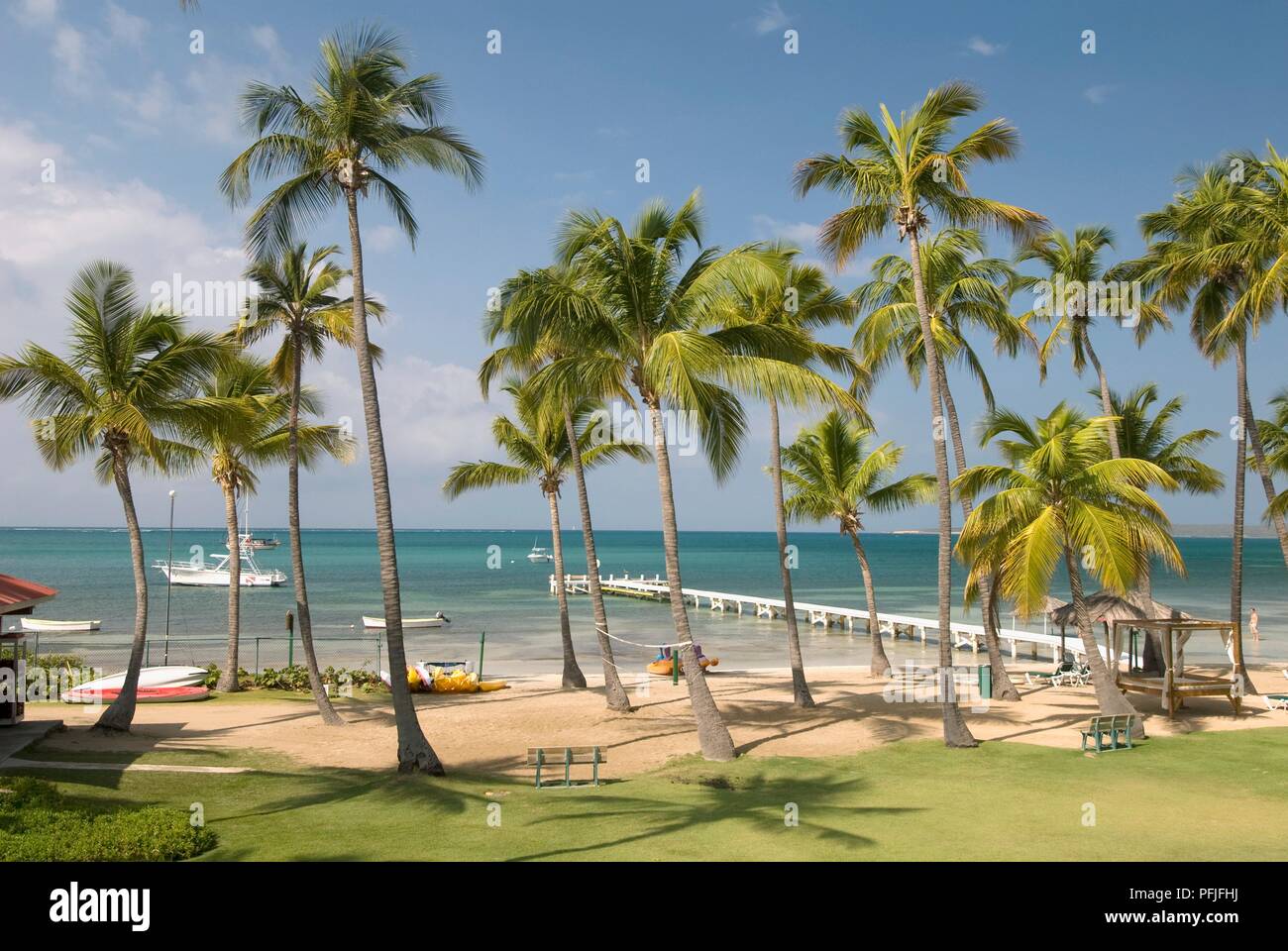 Puerto Rico, Südküste, von Palmen gesäumten Strand und Steg Stockfoto