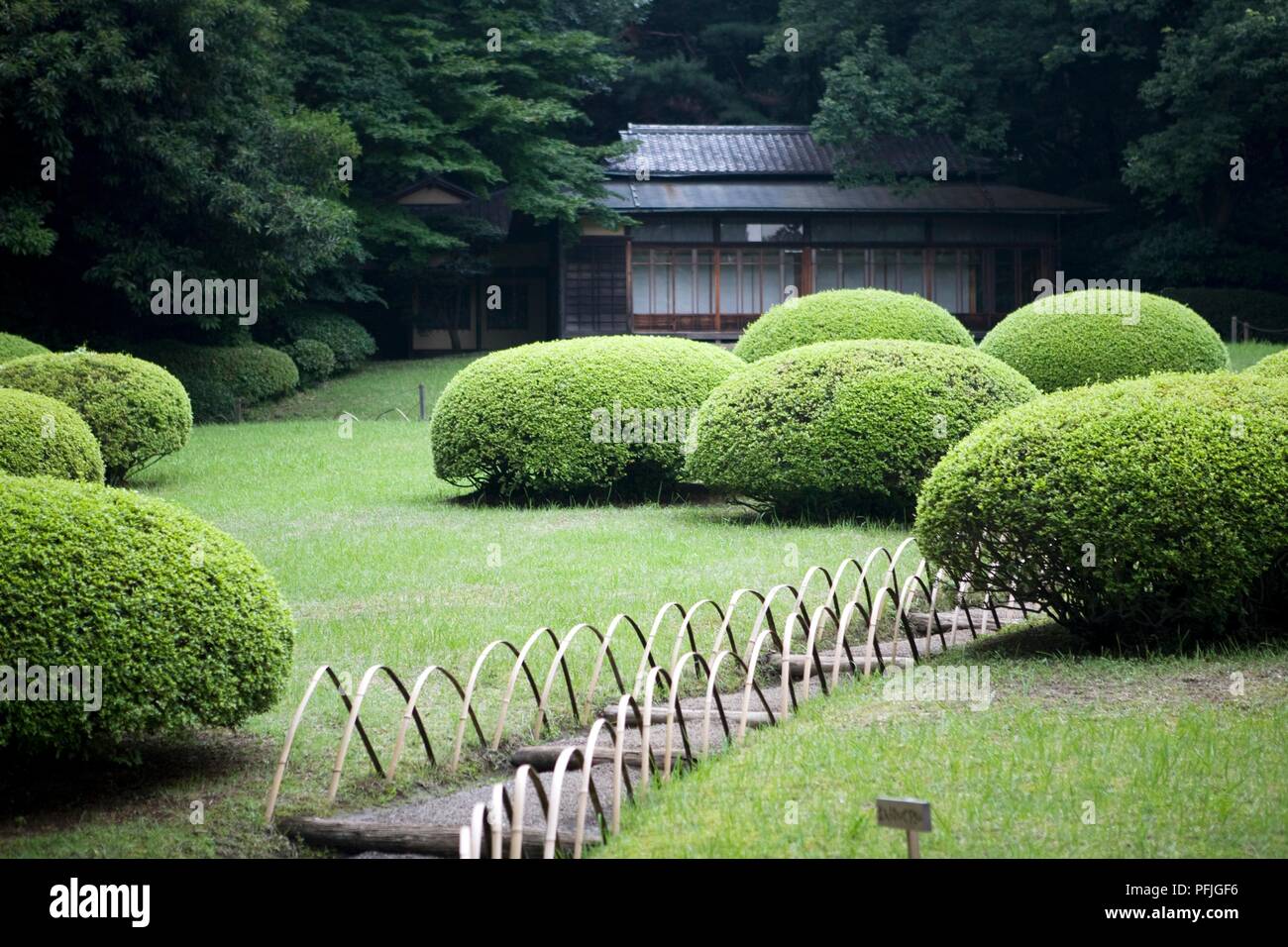 Japan, Tokio, Shibuya-ku, Meiji Schrein und Gärten mit formschnitt Sträucher Stockfoto