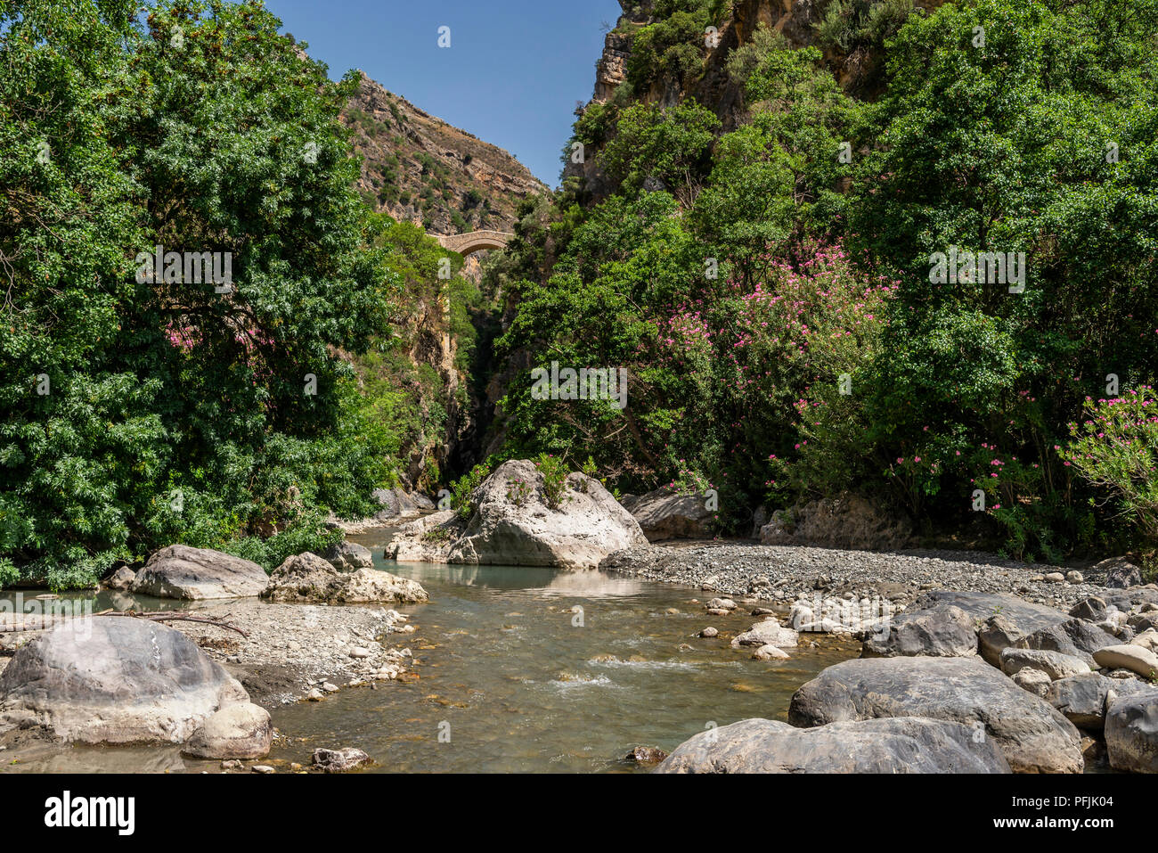 Blick auf Il Ponte del Diavolo und die raganello Fluss in Civita im Nationalpark Pollino Stockfoto