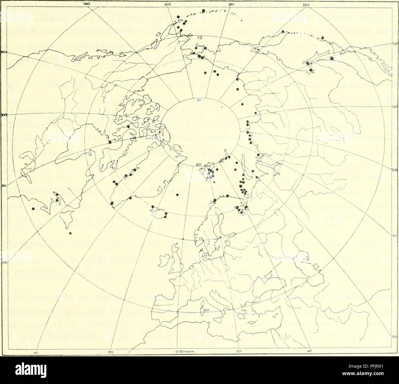 . Die dänische Ingolf-Expedition. Marine Tiere - arktischen Regionen; Wissenschaftliche Expeditionen; arktischen Regionen. ASCIDIACEA 51 1858 C. Griffithsii, H.&amp; A.Adams, Oen. MoU., v. 2 s. 595. 1891 C.G., Herdman in: I. Linn. Soc. London, v. 23 s. 571. 1899 C. Griffithii [sici], E. Perrier, Zool., u. 2 V S. 2350. 1903 C. griffiihsi, Hartmeyer in: Fauna arctica, v. 3 s. 189. 1909 C g., Hartmeyer in: Broim's Kl. Ordn., v. 3 beil. S. 1346, 1483. Von Swederus (1885) mit Molgula ampulloides Sterben identificierte Kunst gehort / Arnback-Christie-Linde (1922) Ganzs zu M. chrystallina, Ganzs zu Rhizomolgula.. Stockfoto