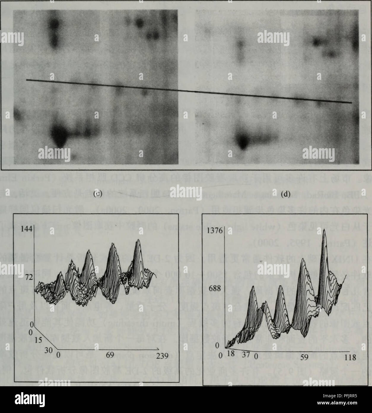 . Dan bai Zhi zu Xue cong Xu liegen Dao Gong neng. Botanik. Ç¬¬Ä¹ç "ç¶é¢ åèç½è Ï¼èªå ¨ ' ¨ ç" ae "éå¾ åaeçå® 159 Äºãae¾å°ae § ae è®°Ae³è¿ è¦ae ± gibt es ç ç©¶ çae" "ç" èåç "ç" å ¨ Ae¾å åaeåä'°ae § Åä½ç "å ± Å¹å" ï¼å Ae-¤è®'¦å¤ éè çae · è½éç Åaeae¾ä'¨è¿ ä'ªae¹Ae³Ï¼Å ¦ äººçç "ç" Åä½ae¶ ²Ãaeå''ç¨ Çaeè²ae¹ae³ae èé©¬ae ¯ ¯ Èaeè²åé¶ aeï¼Merril, 1987; Patton et al., 1999; Ramsby und Makowski, 1998; Wirth und Romano, 1995) ãèé©¬ae ¯ èççµaeåº ¦ Å¾ä½ï¼ä½¿ å¶ ä" éäºç ç©¶ ä'°åº¦ aeé" Èç½ãå ççå®¶° ½ç®¡é¶¶ Aeèç½çè ä' é¶ Åè½è' ¨ Éaeçº¹è° ± ççè Çè½åºåè ¦¦ç''äº å ¯ ¹ä½ä (Gharahdaghi et al., 1999), Ä½å ä'ºå¶ auf éå''® auf éå° ngçº § çµaeï¼å Ï¼ï¼å¨ä'Äºä¾å - ä'-å¯å®é (Patton, 1995) è½ä Ï¼å¹¶'è' ¨ è° ± åaeµåºaeae¯ç'é Åï¼å ae-¤é¶ aeéå''ae ¯ ¥½ aeå Stockfoto