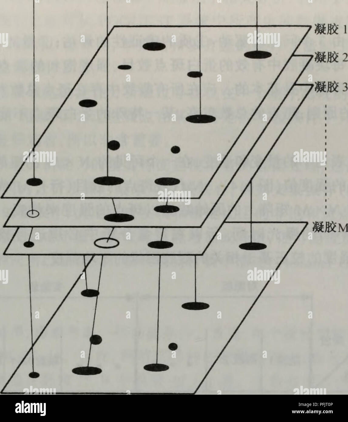 . Dan bai Zhi zu Xue cong Xu liegen Dao Gong neng. Botanik. Ç¬¬Å-ç" äºç "'åè¶ Çµae³³çå¾ååae 113 aeç¹ 1 aeç¹ 2 aeç¹; aeç¹N. Å¾6.3é ae ¯ ¨ çåçï¼å Å¹³ä Aeç¹ae°'' sie ae¯å ¯ aeå³çéè Åå½çï¼è ¿¿ ae © ae £ ¯ Çaeç¹è½aeä aeé ae ºè¿ 'ä' ae-¥ ae © ae £ çä'-å¿ ã é ae çè ¯' ¨ auf éå¯éè¿ä'¤¶ ååè Ä¹é'è¿ è¡ç'ae ¥ é ae ¯ çç" çé aeaeåè aeä'¶'ae ¥ é ae ¯ aeè¿ è¡çäº ¤ åé ae¯ae ¥ aeé" ãae-¤å¤å ¥ aeç¹ä¹å Ï¼å¯ä" ¥ aeé "é ae ¯ Çç²¾ç¡®åº¦ åè' ¨ éãå ¦ aeä 'ä' ç ªaeç¹Åº°å ¨ ¨ Aeºå¾åï¼ä½å é¶ Å¾åä'-ae ¶å¤±ï¼é Ä¹è £¿ ä'Aeç¹å°è¢"å å ¥ å°é¶ Å¾åçç" Åºä½ç½® ä'ï¼Garrels, 1979, sie 1989) ã å¨ç" è®¡å-¦ Ae¹ae³åºç¡ä' å© ç¨ç'Ä¼¼ae § § å¼ºaeåçé ååçä' ç ae¯ç® Ae³å · ²ç ± OlsonåMiller (1988) Aeåºï¼å¹¶ ä'å¨ MELANIElKAppeleZaZ., 1997 b) è¿ç§ è½¯ä"¶ä'-Å¾å°aeé "åå® aeãè¿ 中文 ¥ Ae¹ae³ae çé ae ¯ ¯ ä" ¥¢ ä'ºå Å¾å½ Stockfoto