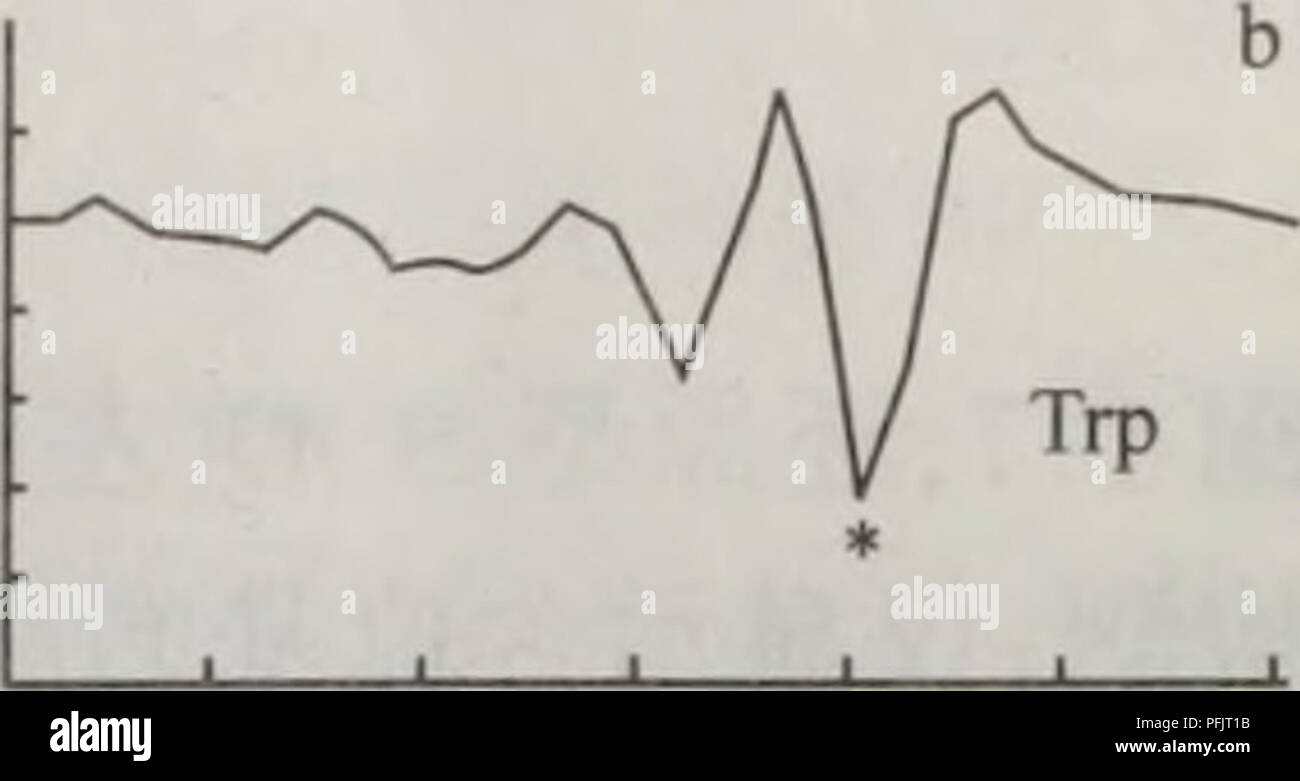 Trypsin Stockfotos Und Bilder Kaufen Alamy
