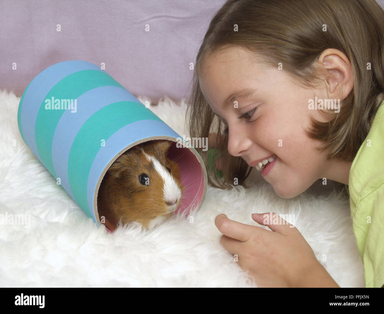 Meerschweinchen in der Pappe Rohr neben dem Mädchen lächelnd Stockfoto