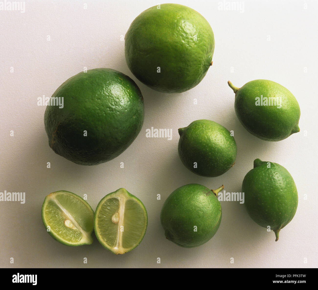 Citrus aurantifolia, unterschiedlich große Ganze und halbierte Limonen, Ansicht von oben. Stockfoto