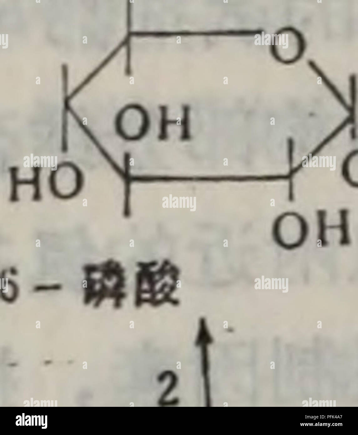 . Dai xie Tang dai Xie ji Qi tiao Kong yu er Suan dai Xie. Botanik. Ffièç³ HOCHj OH OH ATP ADP * âY1 (B) O CHi è¡èç³. OH ATP EIN DP-K. HO^ Oh ae 'ç³ mm Â©-0-CH^0 Â'^H, C-0O H0&gt;* w Öl 1.6 - äºs^ QS-COOH CllOH" ist âºNADH COOH CO CHj COOH CHO &Lt;B. 8CH; OH COOH ATP EIN DP-ä' å £ é" é' * "é 2-ff^W^lii ^m Å¼ä" ffiS? CH20® CO CM. Auf gt Wé'äºç"* åºå § à-CHO CHOH 3 - Â"Â® CH 0 (g) &Amp; Ae²¹é't^NAD âº NADH COO Â© CHOH Cll: 0 Â® 1.3 - äºgÂ" å³ COOH CHOH CHjO Â® • A DP • ATP 3 gibt es 2-5 Å¡é µè§ £ è¿ç ¨ 1. å·±é £ aeae¿½, 2. è¡¢ é' å¼aeSI Èç³ç, 3.ç¢ é' Aeç³ae¿ éï¼ 4. é' ç'® é'ã 5.ç¢ fii; ä'-ç ï¼6.3 Ç³å¼aeé¶¢ é' Çae²¹éè±ae°¢ é · ï¼7.3 - Çae²¹é aeé' Stockfoto