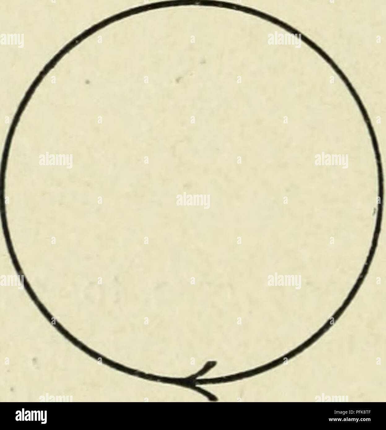 . Zytologie, mit besonderem Bezug auf die metazoan Kern. Zellen. Meiosij Syngamy Metazca und bestimmte der Reptilia. (Fucus) Laslrea Pseudomas uancristata A1. Bitte beachten Sie, dass diese Bilder sind von der gescannten Seite Bilder, die digital für die Lesbarkeit verbessert haben mögen - Färbung und Aussehen dieser Abbildungen können nicht perfekt dem Original ähneln. extrahiert. Agar, W. E. (Wilfred Eade), 1882-1951. London, Macmillan und Co., Limited Stockfoto . Zytologie, mit besonderem Bezug auf die metazoan Kern. Zellen. Meiosij Syngamy Metazca und bestimmte der Reptilia. (Fucus) Laslrea Pseudomas uancristata A1. Bitte beachten Sie, dass diese Bilder sind von der gescannten Seite Bilder, die digital für die Lesbarkeit verbessert haben mögen - Färbung und Aussehen dieser Abbildungen können nicht perfekt dem Original ähneln. extrahiert. Agar, W. E. (Wilfred Eade), 1882-1951. London, Macmillan und Co., Limited Stockfoto