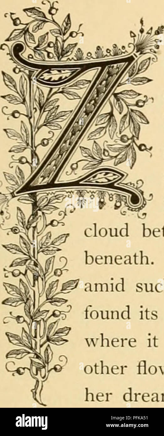 . Cyclopedia von praktische Blumenzucht. Blumenkultur ; Blume Sprache. ) M 0 w £ r 0 y. (&Amp;) uns alantl ninalis. Natürliche Ordnung: Afi/aiyllidaceiV - Amaryllis Familie URICH, mit den angrenzenden Kantonen der Schweiz und einige andere Städte und Gemeinden in Europa, können die ursprünglichen Lebensräume dieser kleinen Anlage in Betracht gezogen werden, die botanische Bezeichnung für die Sig-, j^ nifies Snowy Milch - Blume. Er gedeiht in den Wiesen und: "entlang der Wasserläufe, die in der Nachbarschaft von""^^^^^^^^^ Alpen, wo die reine und ewige Schnee liegt wie eine Wolke zwischen den blauen sk}- über die grüne und Überfluss ferti Stockfoto