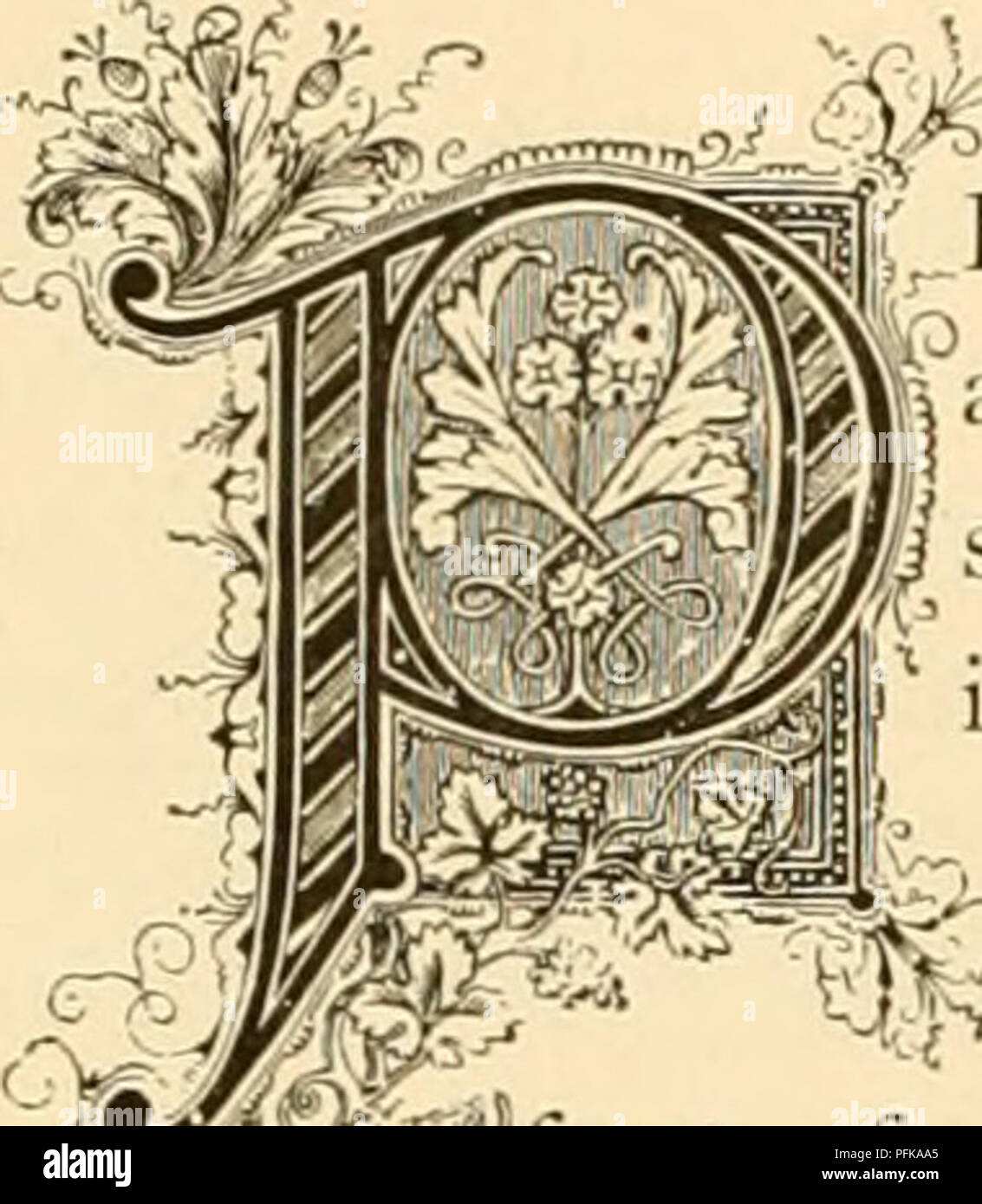 . Cyclopedia von praktische Blumenzucht. Blumenkultur ; Blume Sprache. niiospm 'OS Dirijiiuana. Natürliche Ordnung: Ebcnacac â Ebenholz Familie. "Wj CRSIMMON Bäume sind in den Vereinigten Staaten gefunden, Erlangen/A, größere growtli im Süden als im Norden, wo Sie Jdom mehr als einen großen Strauch geworden. Die Blüten sind 1 | unauffällig, und werden durch eine Pflaume-förmige gelungen, Breiige^ ti uit, einer rötlich-orange Farbton, mit mehreren Hartschaligen 0^^ Samen. Persimonen sind nur durch die Aktion von der '^^^^^^^ reiften.''''fiost, nach dem Sie zu schmackhaften und nahrhaften. Im Süden - i^W^ern Sta Stockfoto