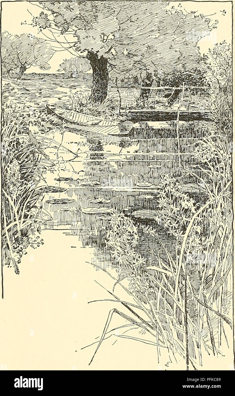 . Cyclopedia der amerikanischen Gartenbau, bestehend aus Anregungen für den Anbau von Gartenpflanzen, Beschreibungen der Arten von Obst, Gemüse, Blumen und Zierpflanzen in den Vereinigten Staaten und in Kanada verkauft, zusammen mit geographischen und Biographische Skizzen. Im Garten arbeiten. Doug XEROPHYLLUM 1997 buschigen Wuchs, mit etwas kleineren Köpfen Hort., ist ein Handelsname für gemischte Sorten. X. indpterum. Mill. (X. erectiim, Presl.) hat weiße Köpfe von denen die Waage nur wenig oder überhaupt nicht öffnen oder zu verbreiten. S. Eu. zu S. W. Asien. L. in H.B. X, Varias, A. liaeeme 3-6 in. oder mehr: p Stockfoto . Cyclopedia der amerikanischen Gartenbau, bestehend aus Anregungen für den Anbau von Gartenpflanzen, Beschreibungen der Arten von Obst, Gemüse, Blumen und Zierpflanzen in den Vereinigten Staaten und in Kanada verkauft, zusammen mit geographischen und Biographische Skizzen. Im Garten arbeiten. Doug XEROPHYLLUM 1997 buschigen Wuchs, mit etwas kleineren Köpfen Hort., ist ein Handelsname für gemischte Sorten. X. indpterum. Mill. (X. erectiim, Presl.) hat weiße Köpfe von denen die Waage nur wenig oder überhaupt nicht öffnen oder zu verbreiten. S. Eu. zu S. W. Asien. L. in H.B. X, Varias, A. liaeeme 3-6 in. oder mehr: p Stockfoto
