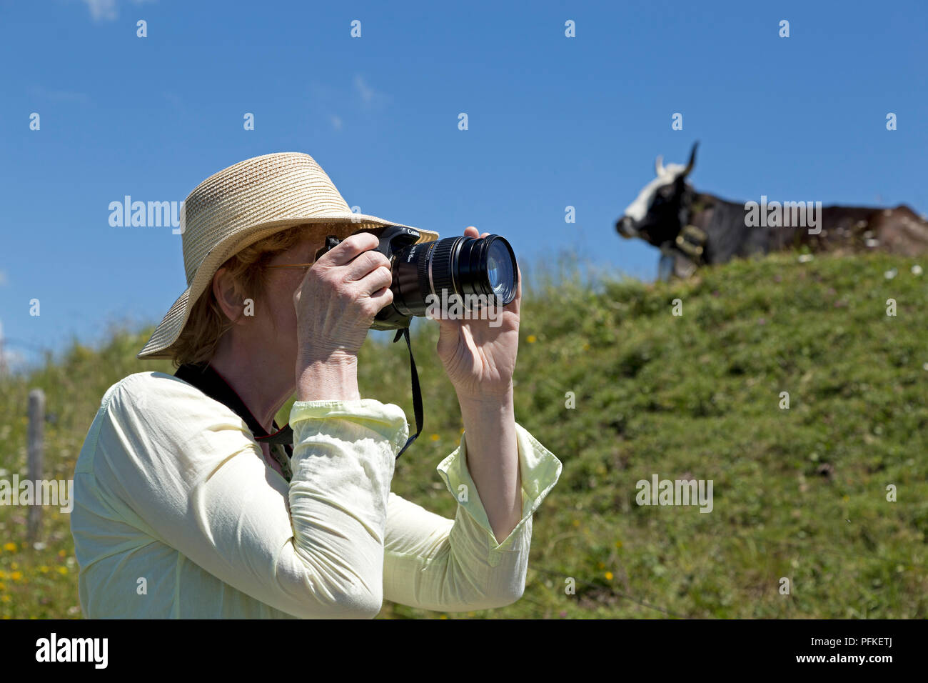 Frau unter Foto von Kuh auf Hochgrat Gipfel in der Nähe von Steibis, Allgäu, Bayern, Deutschland Stockfoto