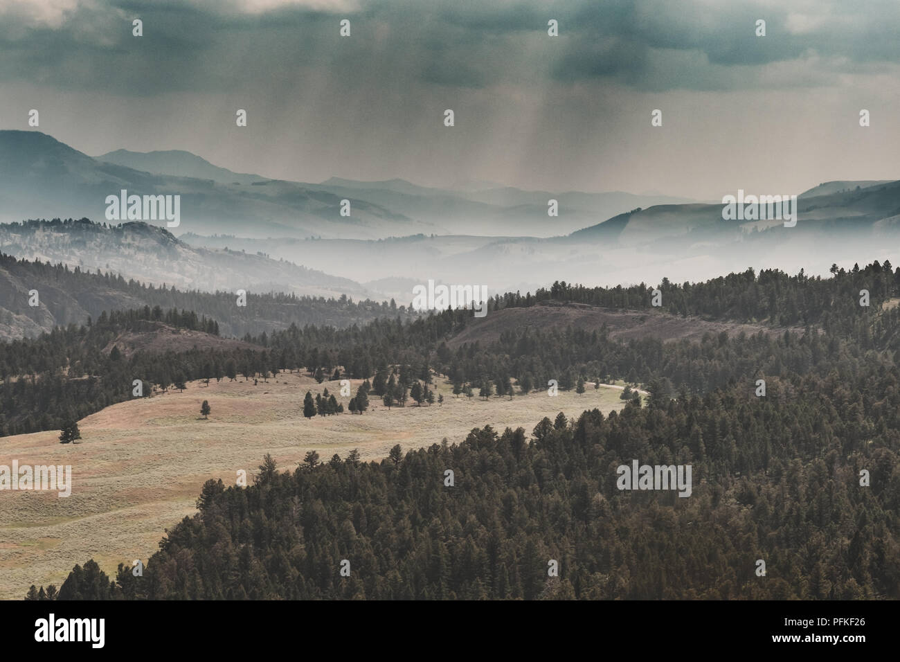 Lamar Valley, Yellowstone Stockfoto