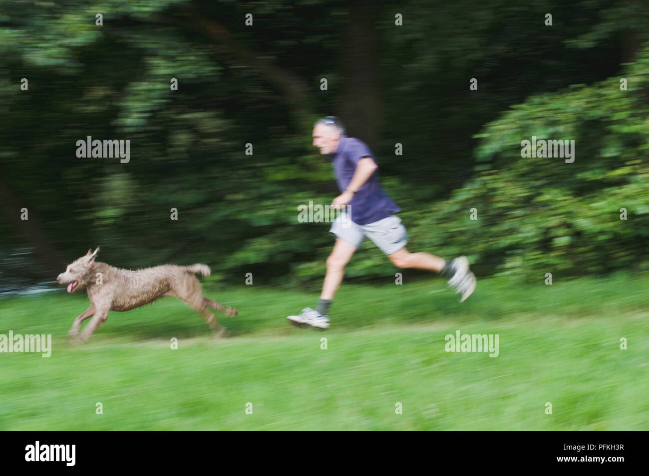 Man jagen energetische Mongrel Hund Stockfoto