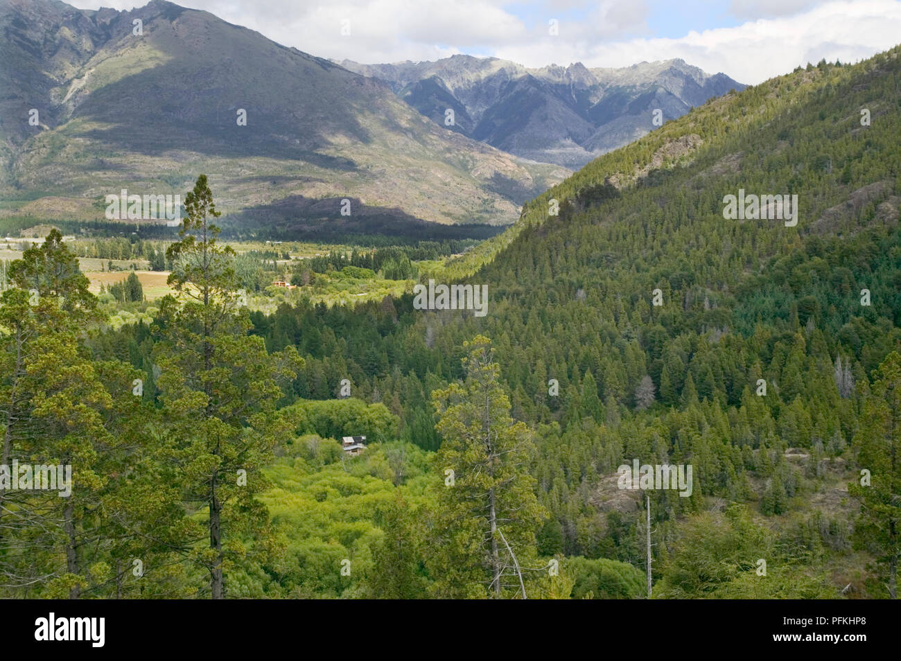 Argentinien, Patagonien, Berge und die bewaldeten Hügel in der Nähe von El Bolson Stockfoto