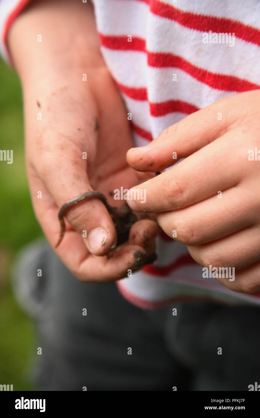 Junge Holding einen Regenwurm in der Hand, close-up Stockfoto