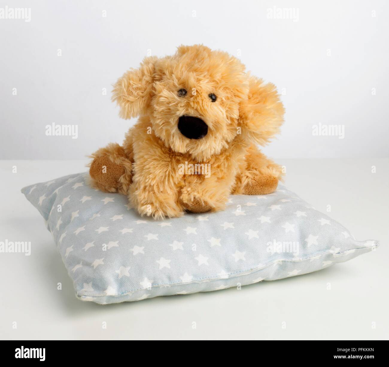Ein Plüschtier Hund auf einem Kissen. Stockfoto