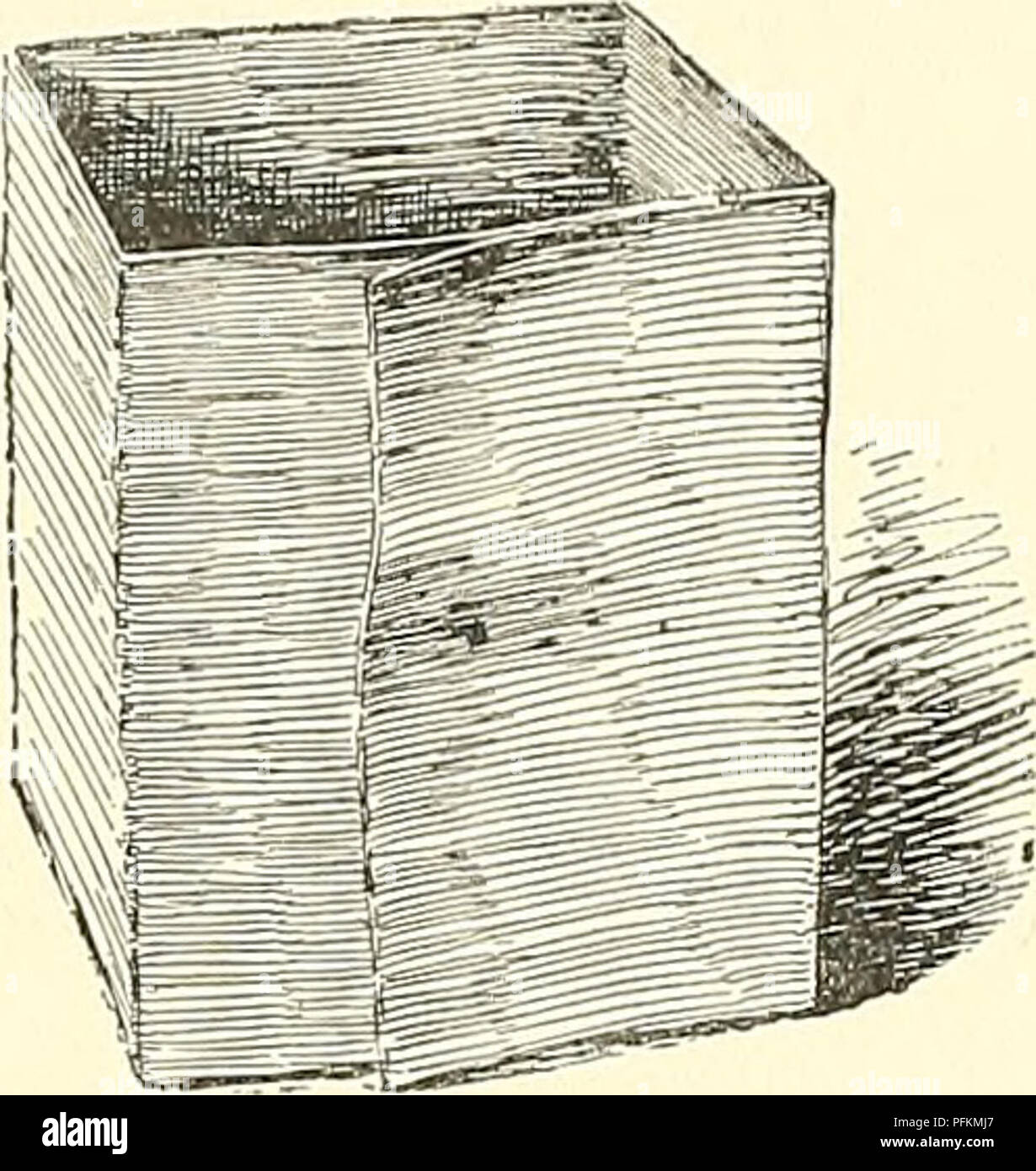 Dieser Band aus der *Cyclopedia of American Horticulture* enthält ausführliche Beschreibungen verschiedener Gartenbaupflanzen, einschließlich Obst, Gemüse, Blumen und Zierarten. Es enthält praktische Anbautipps für Gärtner und Einblicke in die Pflanzenpflege, wobei die in Nordamerika üblicherweise angebauten Arten und ihr gartenbaulicher Wert hervorgehoben werden. Stockfoto