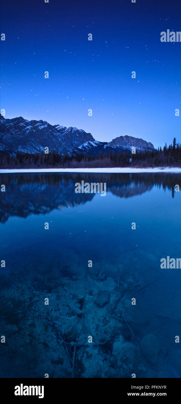 Viele Federn im Bow Valley Provincial Park, Alberta, Kanada in der Nacht Stockfoto