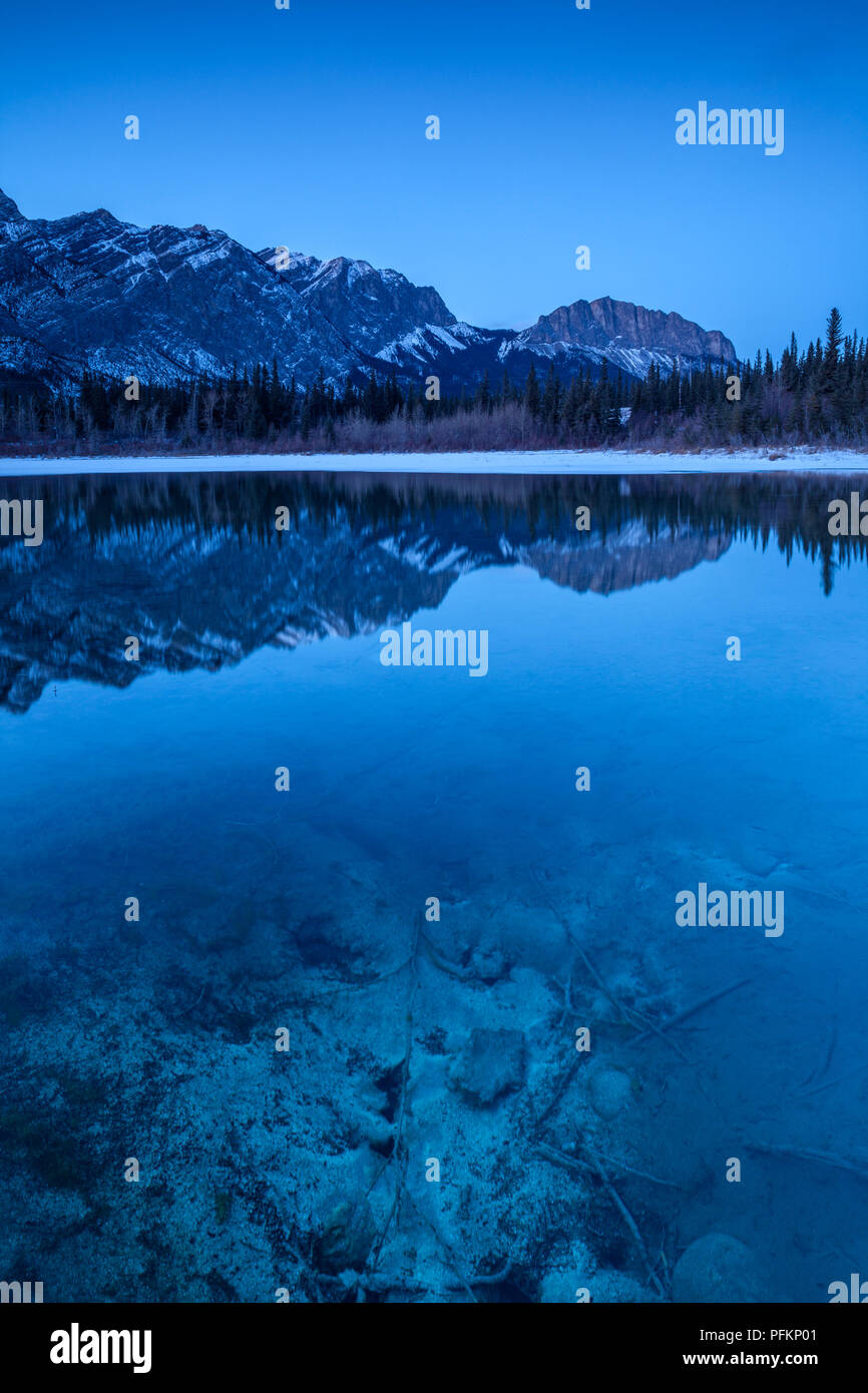 Viele Federn im Bow Valley Provincial Park, Alberta, Kanada in der Nacht Stockfoto
