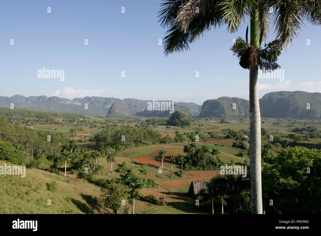 Kuba, üppigen Cordillera de Guaniguanico Bergkette und das Tal Stockfoto