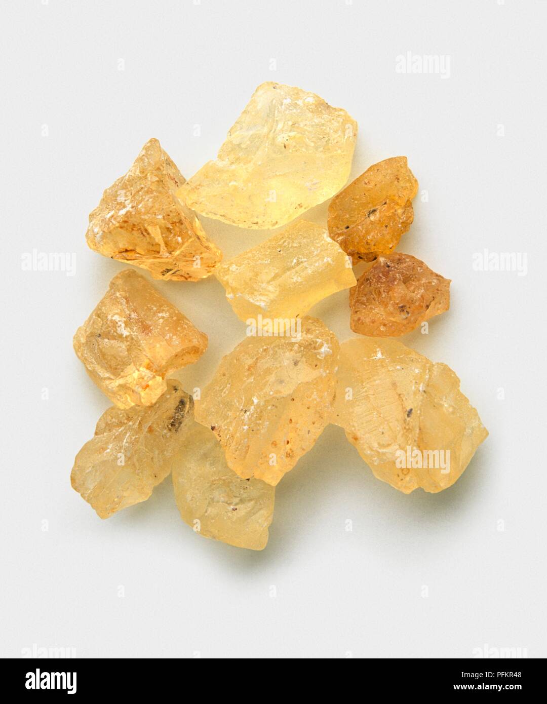 Harz von protium Copal (Copal tree) Stockfoto