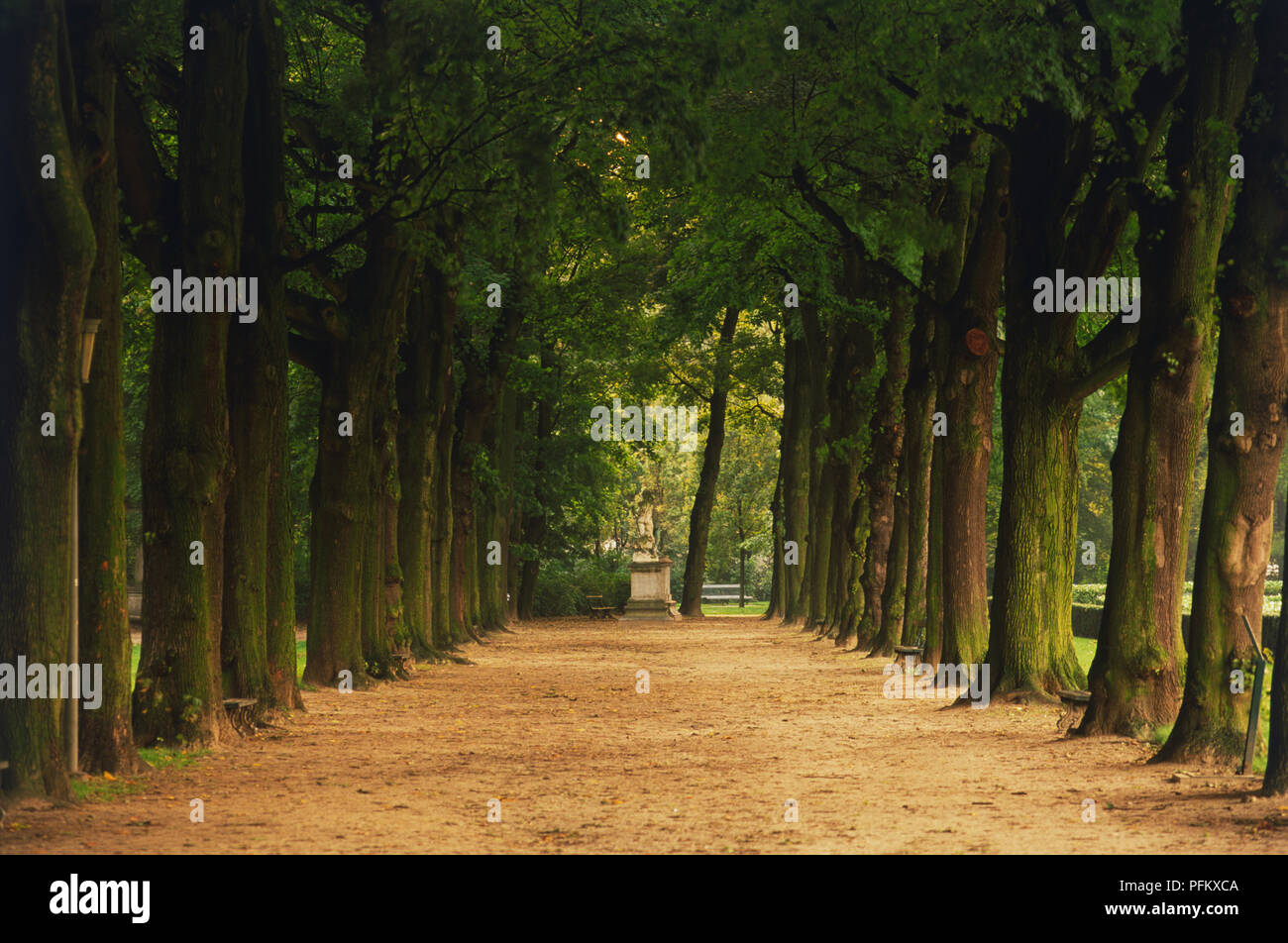 Belgien, Brüssel, Parc du Cinquantenaire, von Bäumen gesäumten Pfad. Stockfoto