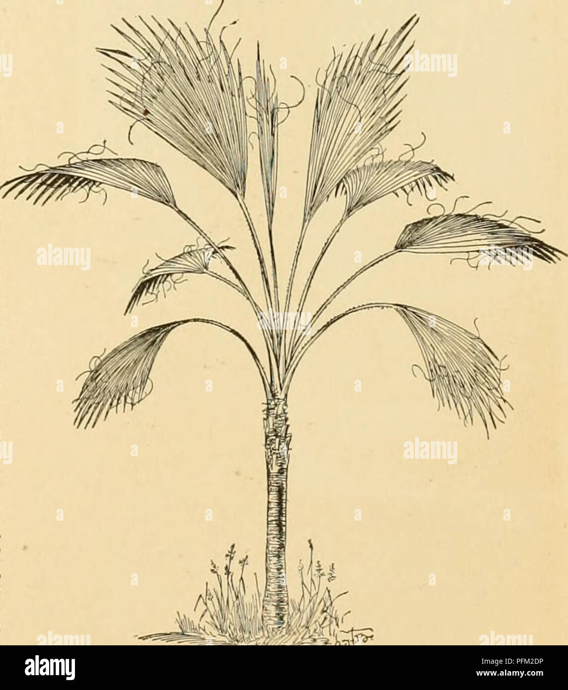 . Cyclopedia der amerikanischen Gartenbau: Bestehend aus Anregungen für den Anbau von Gartenpflanzen, Beschreibungen der Arten von Obst, Gemüse, Blumen und Zierpflanzen in den Vereinigten Staaten und in Kanada verkauft, zusammen mit geographischen und Biographische Skizzen. Gartenbau, Gartenbau, Gartenbau, Gartenbau. WASHINGTON British Columbia nehmen große Mengen von Obst und Gemüse. Sendungen von verderblichen Früchte haben nicht immer gefunden worden, um rentabel zu sein, aber der Staat ist schneller Einschwingzeit auf, und die Aussichten für die Gärtner ist sehr hell. J. A. Balmer. WASHINGTON GRA Stockfoto