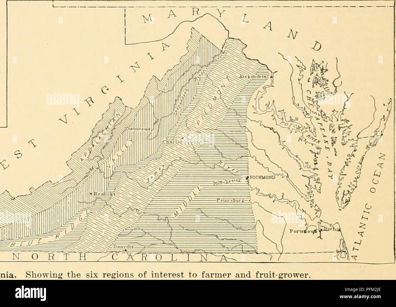 . Cyclopedia der amerikanischen Gartenbau: Bestehend aus Anregungen für den Anbau von Gartenpflanzen, Beschreibungen der Arten von Obst, Gemüse, Blumen und Zierpflanzen in den Vereinigten Staaten und in Kanada verkauft, zusammen mit geographischen und Biographische Skizzen. Gartenbau, Gartenbau, Gartenbau, Gartenbau. 1946 VIOLETT manila Papiertüte und diese in eine zweite Tasche. Jedes Paket, an einer Schnur oder Draht so angeordnet, wie es von der Außenseite des Hauses in ihre jeweiligen jar abgesenkt werden kann. Gießen Sie in jedes Glas eine Menge Wasser in etwa gleich mit der Hauptteil von Zyanid in Stockfoto