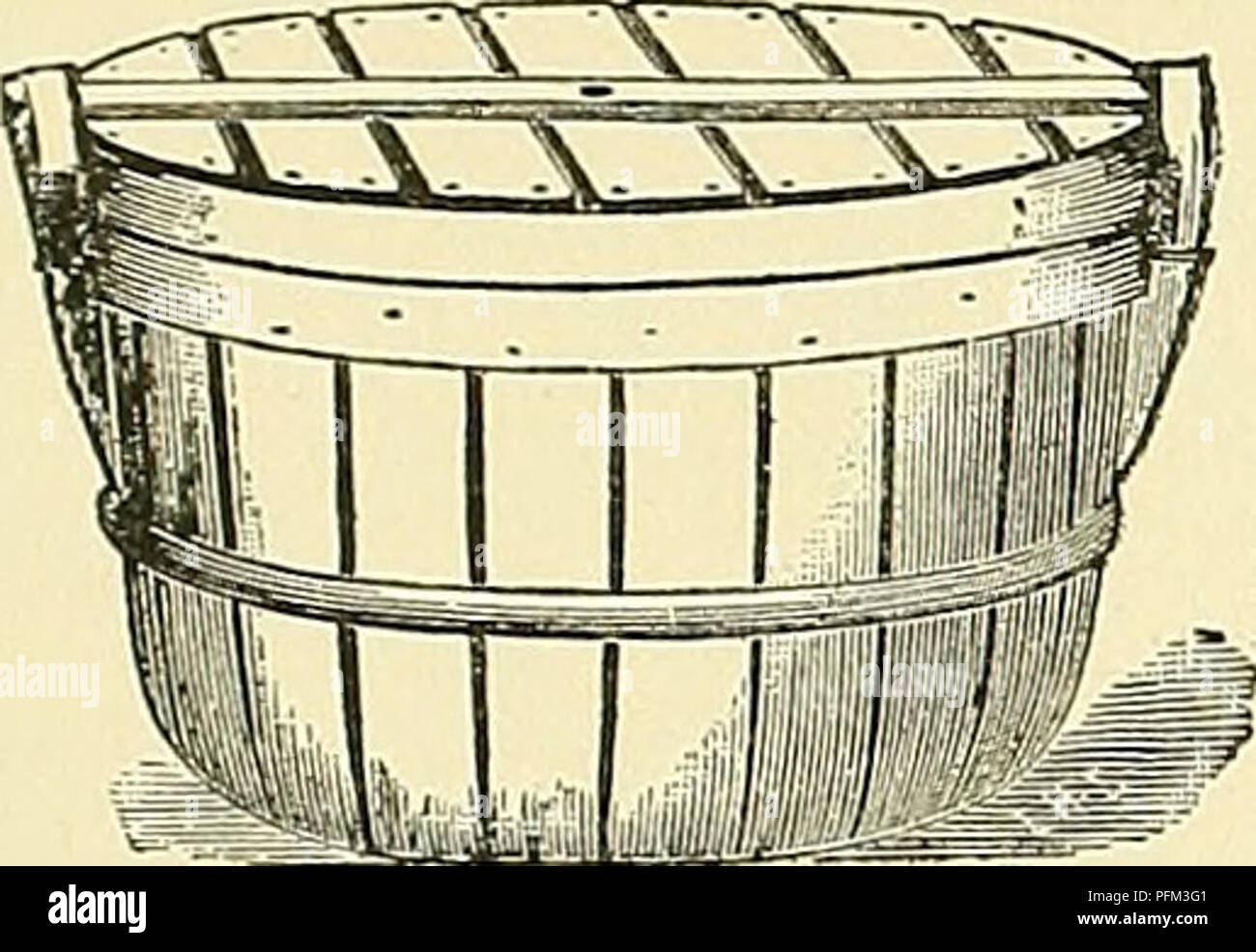 . Cyclopedia der amerikanischen Gartenbau, bestehend aus Anregungen für den Anbau von Gartenpflanzen, Beschreibungen der Arten von Obst, Gemüse, Blumen und Zierpflanzen in den Vereinigten Staaten und in Kanada verkauft, zusammen mit geographischen und Biographische Skizzen. Im Garten arbeiten. Verpackung Verpackung 1187 Kartons oder Körbe, aus dünnen Furniere zusammen mit taclis oder mit Draht Heftklammern, werden im Allgemeinen verwendet, obwohl Pints und sogar kleinere Größen in einigen Märkten sind beliebt, vor allem solche zarten Früchte Tor als Raspel-. 1609. Scheffel mit Deckel. Beeren. Platz Körbe, ein wenig Lar Stockfoto . Cyclopedia der amerikanischen Gartenbau, bestehend aus Anregungen für den Anbau von Gartenpflanzen, Beschreibungen der Arten von Obst, Gemüse, Blumen und Zierpflanzen in den Vereinigten Staaten und in Kanada verkauft, zusammen mit geographischen und Biographische Skizzen. Im Garten arbeiten. Verpackung Verpackung 1187 Kartons oder Körbe, aus dünnen Furniere zusammen mit taclis oder mit Draht Heftklammern, werden im Allgemeinen verwendet, obwohl Pints und sogar kleinere Größen in einigen Märkten sind beliebt, vor allem solche zarten Früchte Tor als Raspel-. 1609. Scheffel mit Deckel. Beeren. Platz Körbe, ein wenig Lar Stockfoto