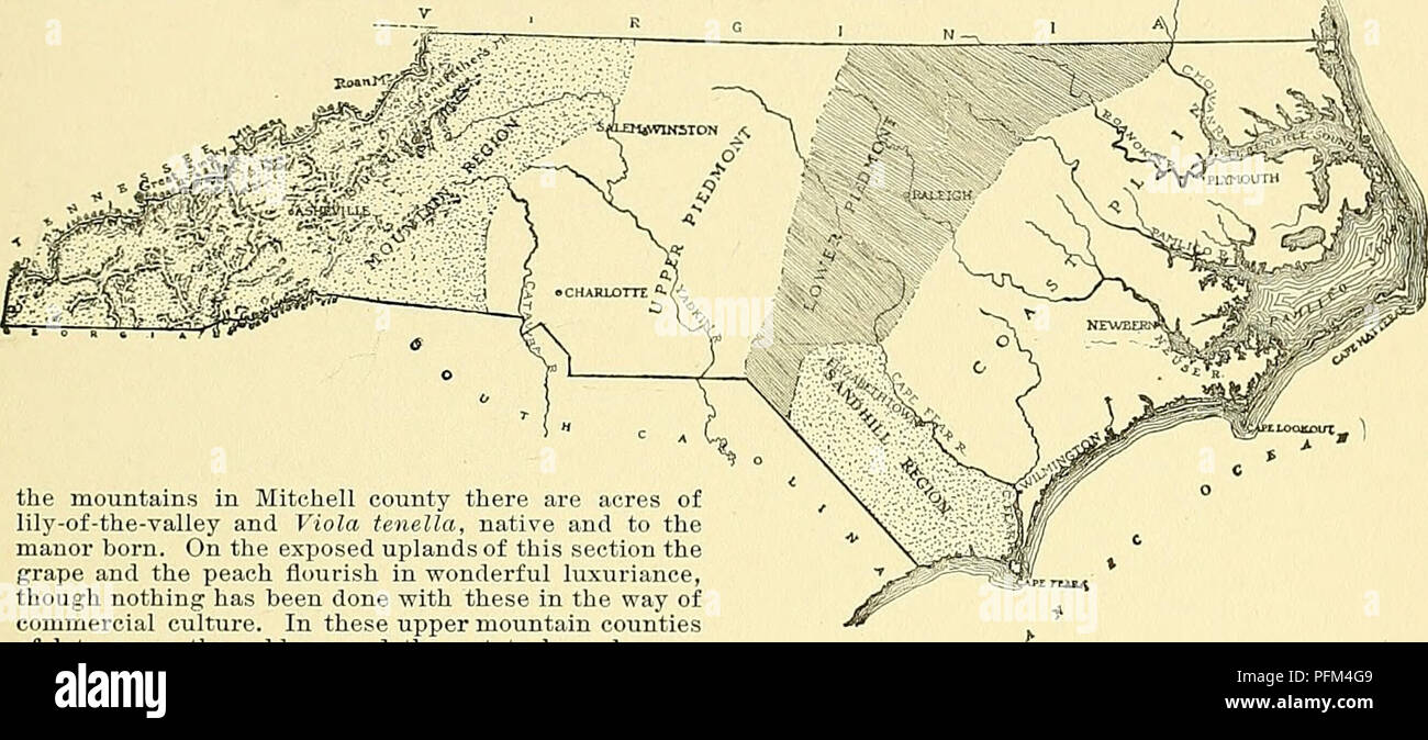 . Cyclopedia der amerikanischen Gartenbau, bestehend aus Anregungen für den Anbau von Gartenpflanzen, Beschreibungen der Arten von Obst, Gemüse, Blumen und Zierpflanzen in den Vereinigten Staaten und in Kanada verkauft, zusammen mit geographischen und Biographische Skizzen. Im Garten arbeiten. NORTH CAROLINA NORTH CAROLINA 1093 ist eine Region, die Liebe zum botanischen Sammler für ihre wunderbare Flora und von großem Interesse Gärtner aufgrund seiner Fähigkeit, tlie für die Produktion von Obst, vor allem Äpfel. Hier die Apple gedeiht und produziert die Schönsten und einheitliche Kulturen unter con Stockfoto