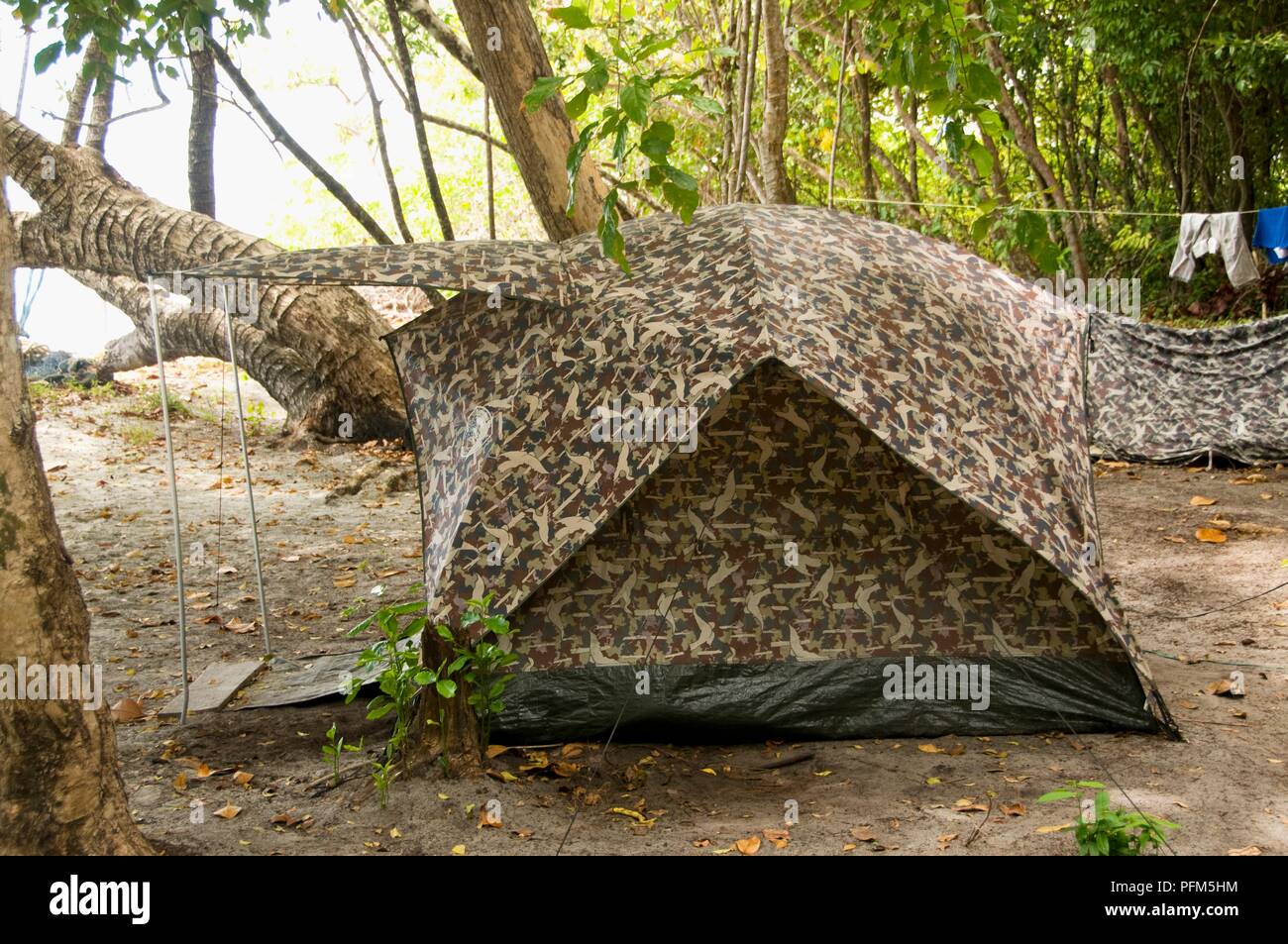 Thailand, Ko Rawi, Camouflage gemusterten Zelt auf einem Campingplatz Stockfoto