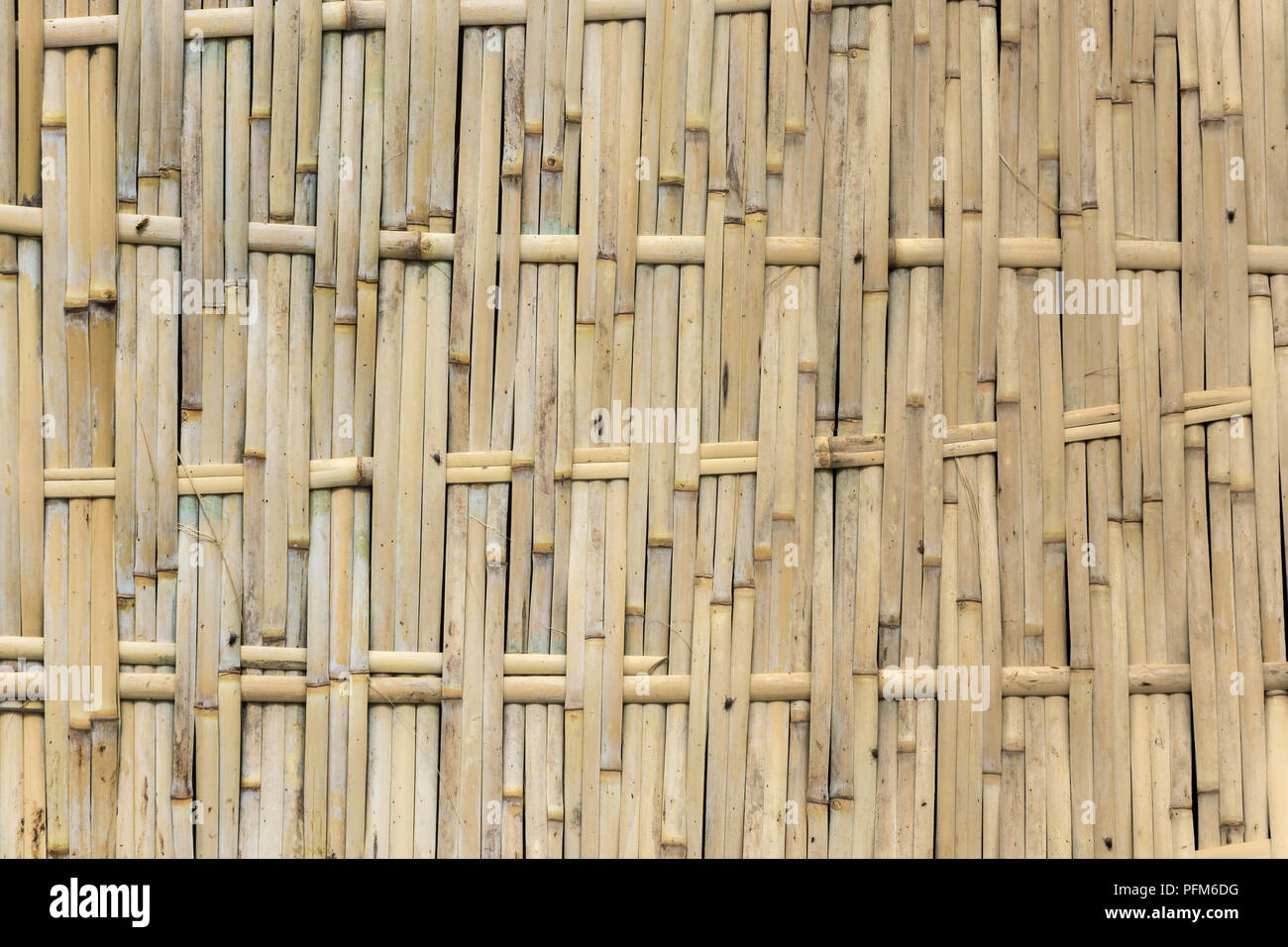 Interessante Textur einer gewebt Bambus Wand an einem sonnigen Tag. Stockfoto