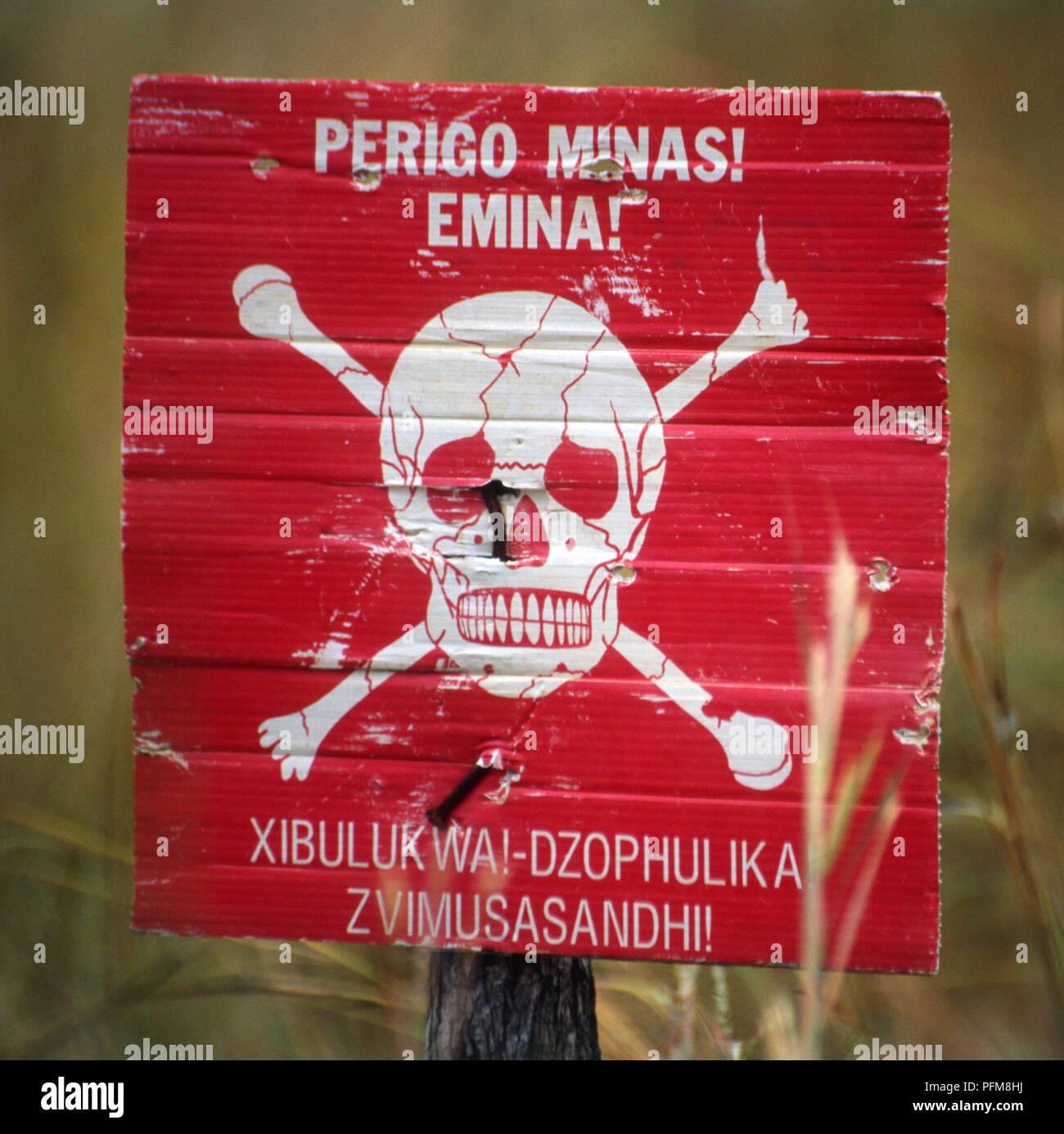 Republik Mosambik, Tete Korridor, mine Warnschild in Portugiesisch und Machope Dialekt, genagelt zu veröffentlichen Stockfoto