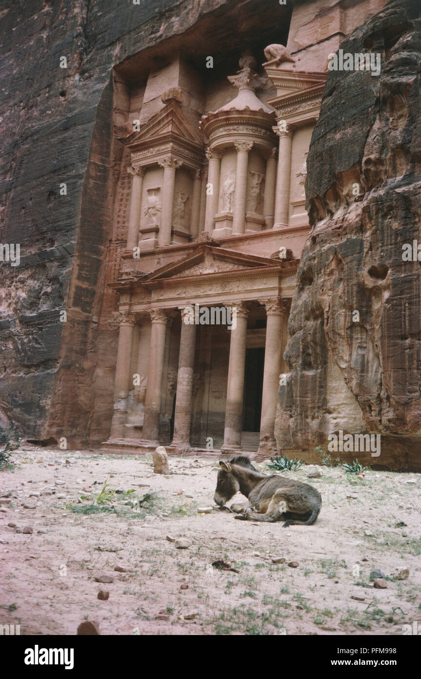 Al-Khazneh, was bedeutet, dass das Schatzamt in Arabisch, geschnitzt aus Fels und stehen über 40 m hoch, in der nabatäischen Stadt Petra, in der Nähe von Wadi Mousa im südlichen Jordanien, Esel, der sich in den Vordergrund zu lügen. Stockfoto