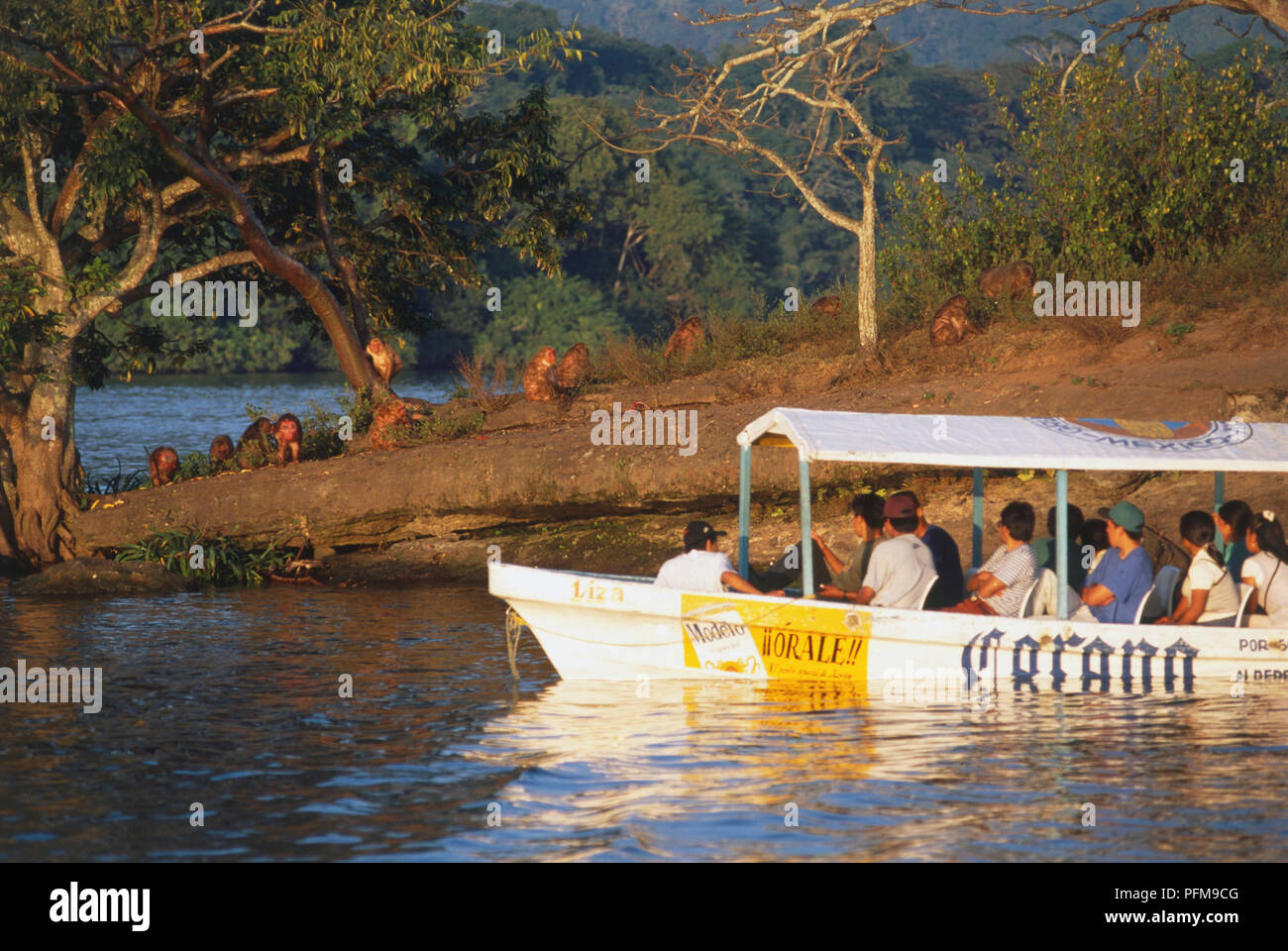 Mexiko, Golfküste, Tanaxpillo Insel, Touristen in einem Boot auf der Suche nach Gruppe von Makaken auf der Insel. Stockfoto